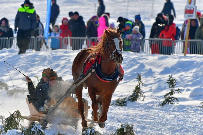 Parada Gazdowska i wyścigi kumoterek