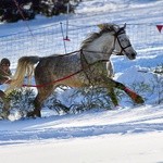 Parada Gazdowska i wyścigi kumoterek