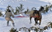 Parada Gazdowska i wyścigi kumoterek