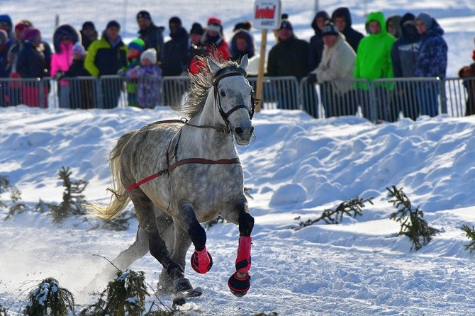 Parada Gazdowska i wyścigi kumoterek