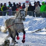 Parada Gazdowska i wyścigi kumoterek