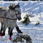 Parada Gazdowska i wyścigi kumoterek