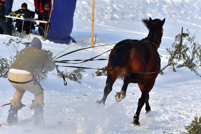 Parada Gazdowska i wyścigi kumoterek