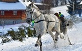 Parada Gazdowska i wyścigi kumoterek