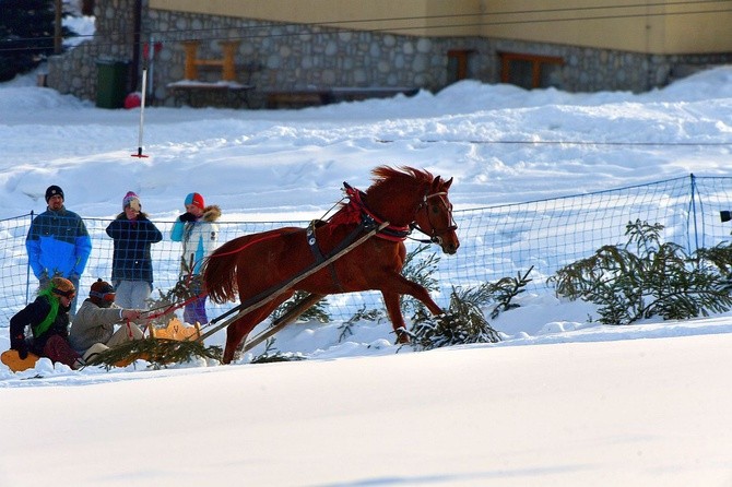 Parada Gazdowska i wyścigi kumoterek