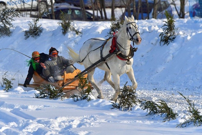 Parada Gazdowska i wyścigi kumoterek