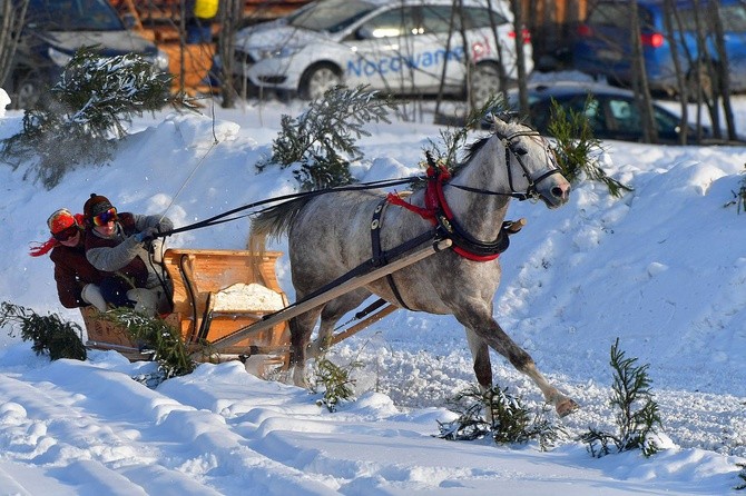 Parada Gazdowska i wyścigi kumoterek