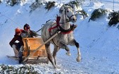 Parada Gazdowska i wyścigi kumoterek