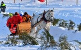 Parada Gazdowska i wyścigi kumoterek