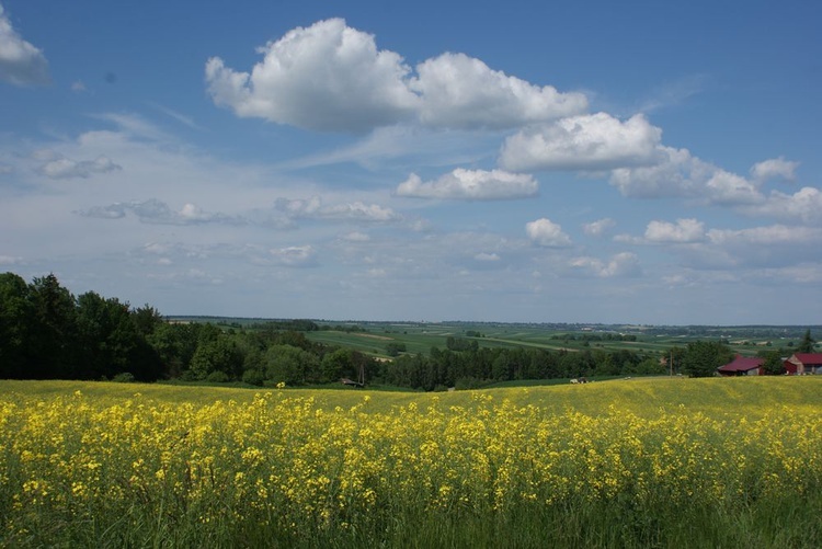 Parafia Targowisko na fotografii