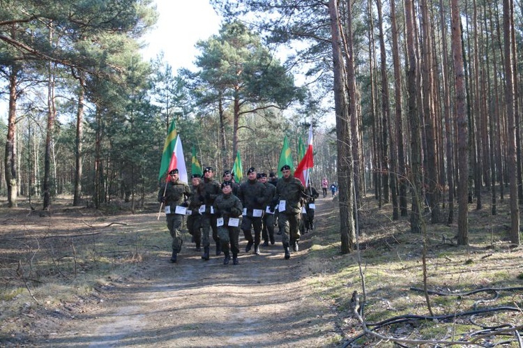 Beg "Wilczym Tropem" w Zielonej Górze