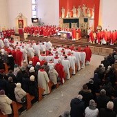 Synod to wspólna droga