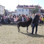 Niedziela z osiołkiem