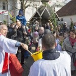 Niedziela Palmowa w Bielańskim Lesie