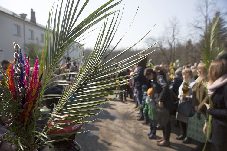 Niedziela Palmowa w Bielańskim Lesie