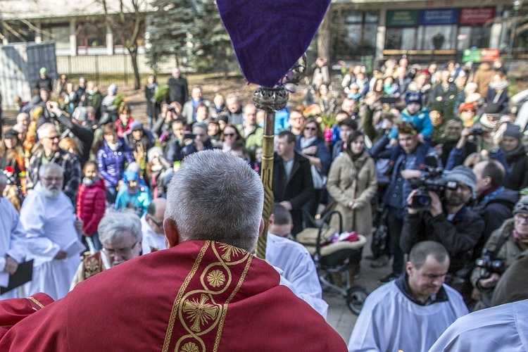 Niedziela Palmowa w Bielańskim Lesie