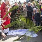 Niedziela Palmowa w Bielańskim Lesie