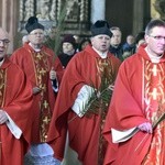 Niedziela Palmowa z rocznicą powstania diecezji.