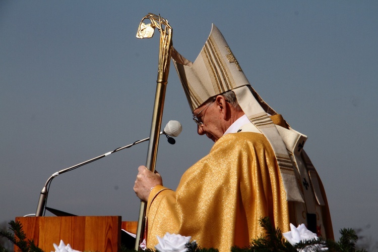 Niedziela Miłosierdzia 2018 