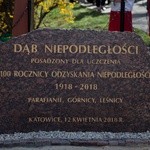 Dąb Niepodległości 