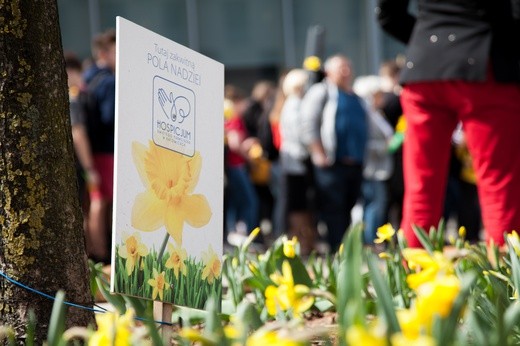 Żółty Marsz Nadziei w Katowicach 