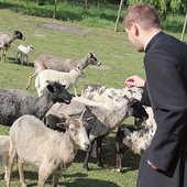 ▲	Obraz Boga jako  dobrego pasterza jest częsty w Piśmie  Świętym. Pozostaje wymownym wzorem  dla kapłanów.