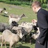 Jak Dobry Pasterz