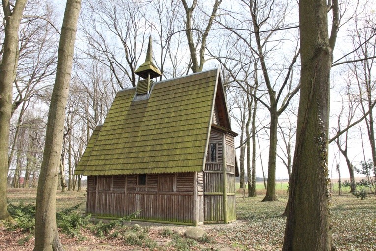 Wyższe Seminarium Duchowne Salwatorianów cz. 1