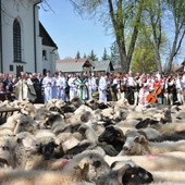 Święto Bacowskie w Ludźmierzu