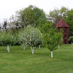 Wyższe Seminarium Duchowne Franciszkanów "Antonianum"