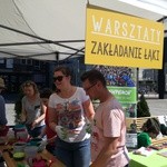 W Katowicach pojawi się Łąka Centralna
