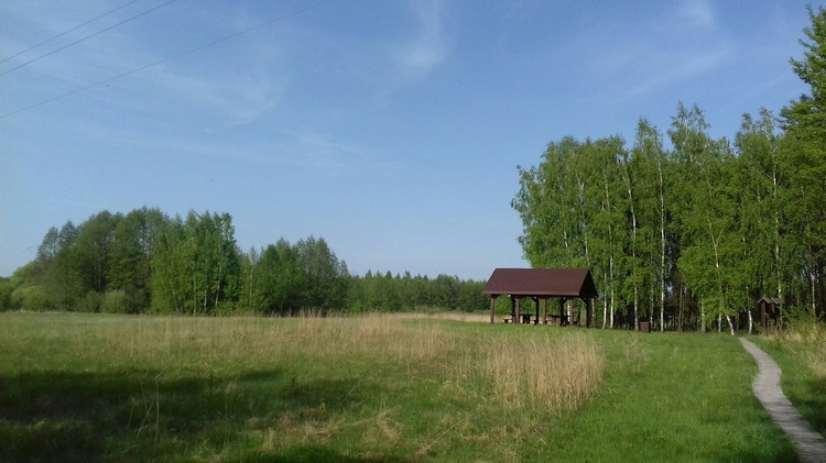 Poleski Park Narodowy