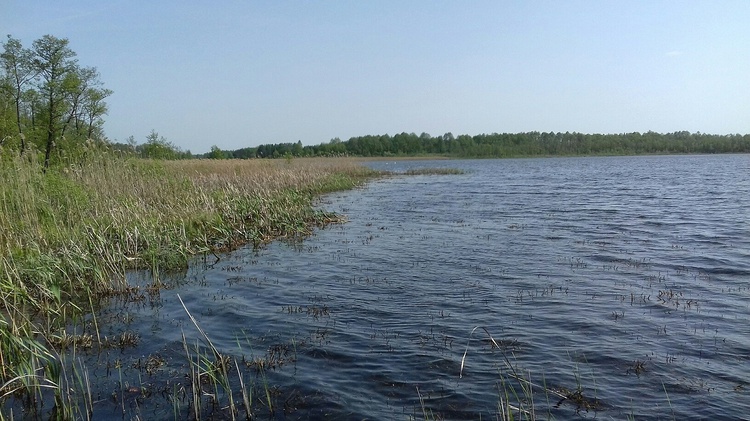 Poleski Park Narodowy