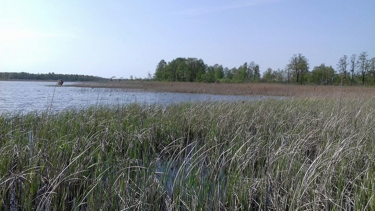 Poleski Park Narodowy