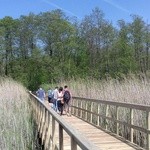 Poleski Park Narodowy