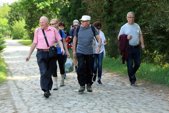 Nasze lokalne Camino - z Wrocławia do Miękini