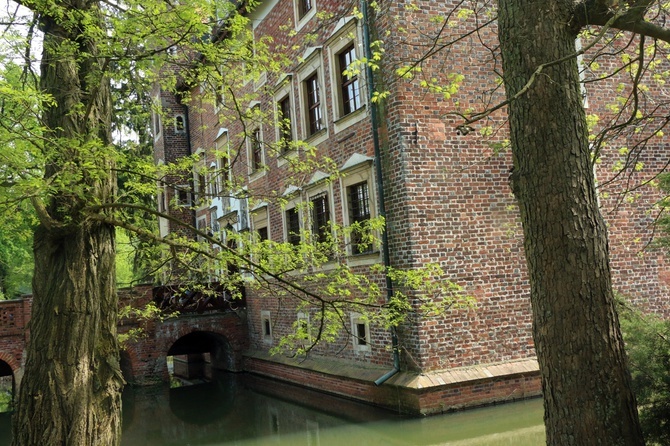 Nasze lokalne Camino - z Wrocławia do Miękini