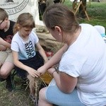 Święto Rodziny i Jarmark Cysterski w Jemielnicy