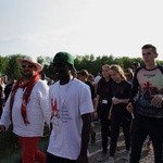 Piknik na zakończenie XXIX Światowych Igrzysk Młodzieży Salezjańskiej w Krakowie