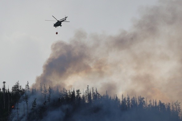 Pożar lasu w Tatrach Wysokich