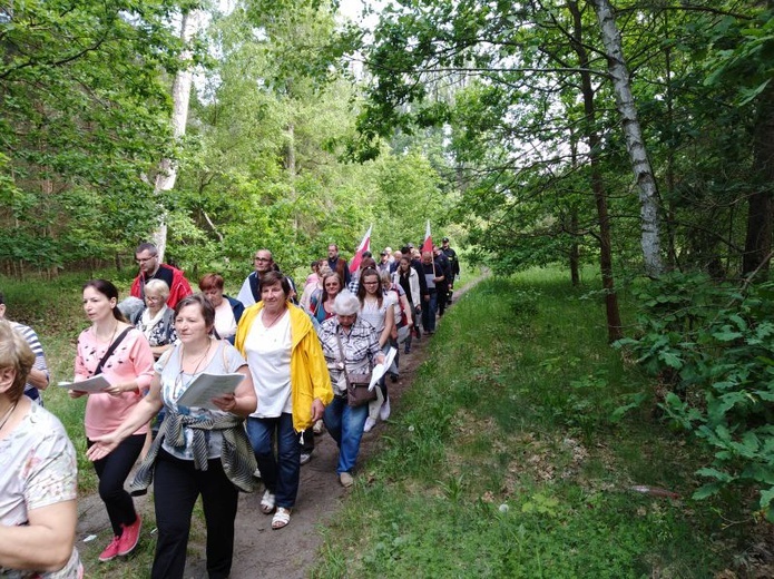 Marsz Niepodległości św. Maksymiliana