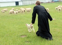 Zabłąkani i pasterz
