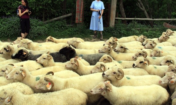 Wędrówka po Łemkowszczyźnie: owce, wilki, ludzie i Duch Święty