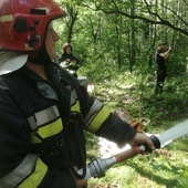 Ćwiczenia w gaszeniu pożaru lasu [ZDJĘCIA]