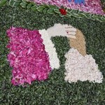 Kwiatowy dywan w Przasnyszu