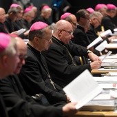 Wytyczne Pastoralne do Adhortacji „Amoris laetitia” Konferencji Episkopatu Polski 