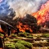 Grecja: Prawie wszystkie pożary pod kontrolą