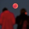 Całkowite zaćmienie Księżyca obserwowane w Australii.