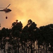 Upały, pożary i susza od Portugalii po Finlandię