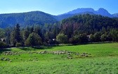 Taniec z widokiem na Tatry 